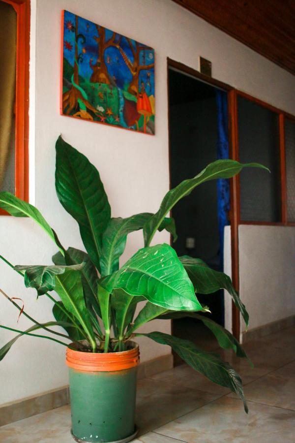Hotel Casa Pacha Guaduas Zewnętrze zdjęcie